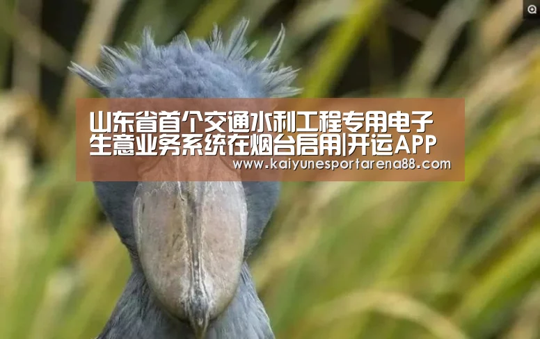 山东省首个交通水利工程专用电子生意业务系统在烟台启用|开运APP(图1) 开运娱乐