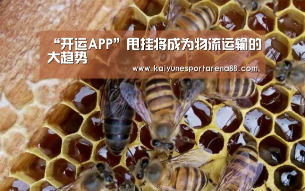 “开运APP”甩挂将成为物流运输的大趋势(图2) 开运娱乐